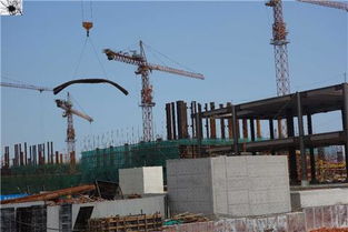 前海扫描映像 桂庙路主隧道开挖与月亮湾立交桥动工勘探同步推进